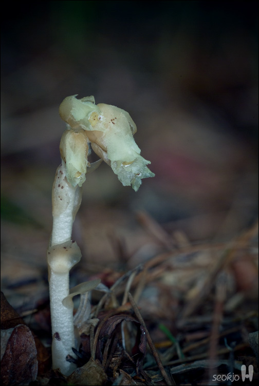 DSCF1049.jpg