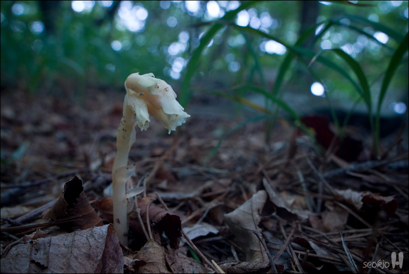 DSCF1057.jpg