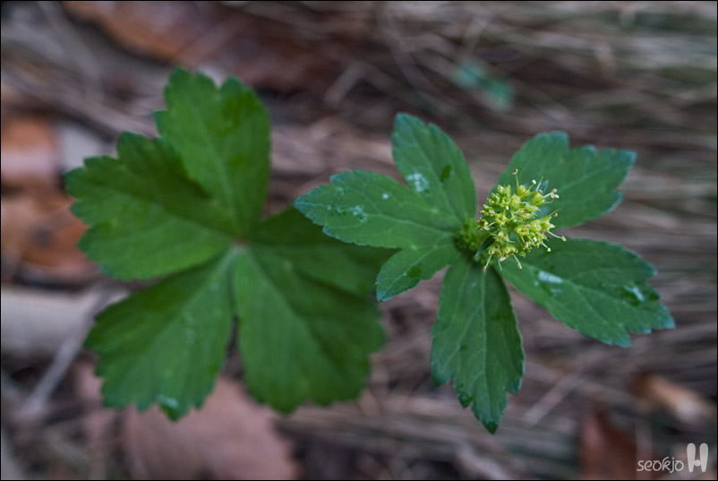 DSCF8034.jpg