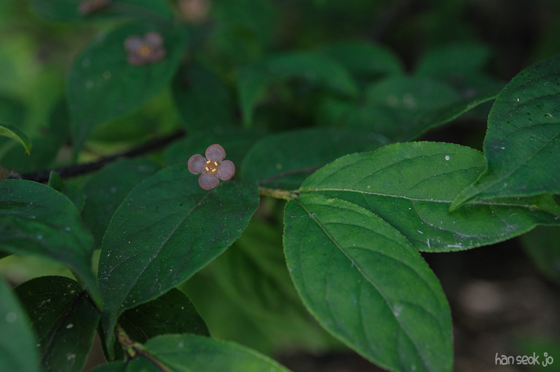 HSJ_3904.jpg