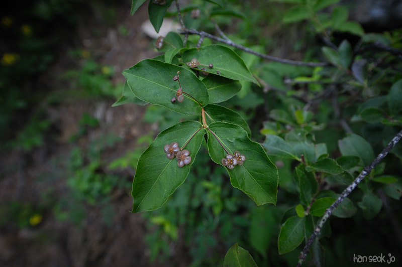 HSJ_3911.jpg