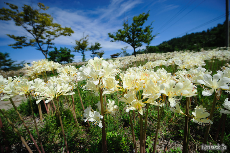 HSJ_1064.jpg