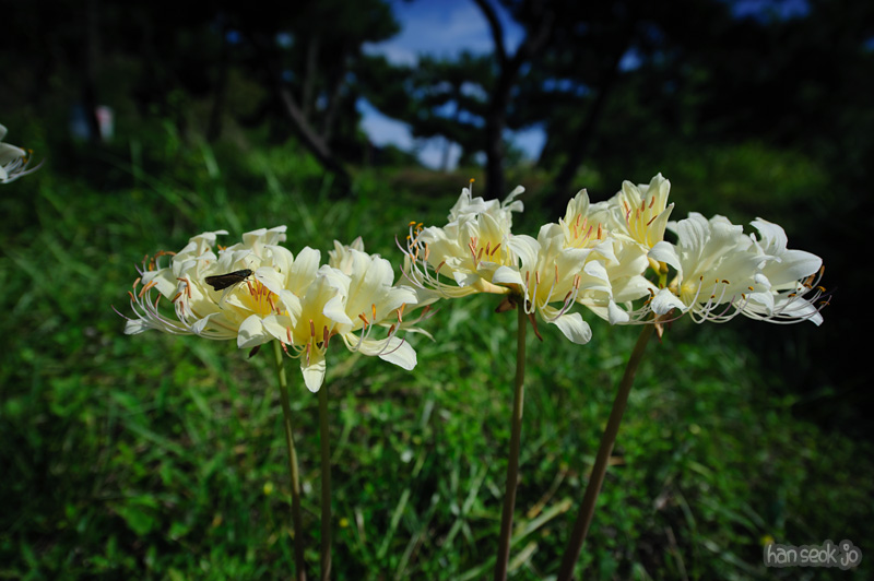HSJ_1043.jpg