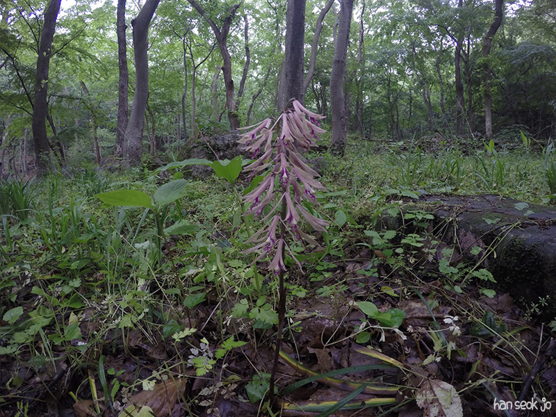 GOPR3367.jpg