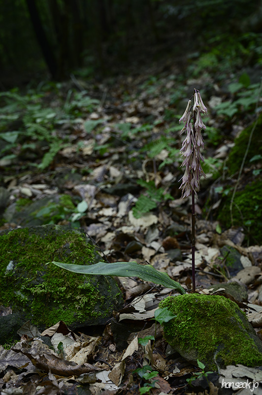 HAN_0431.jpg