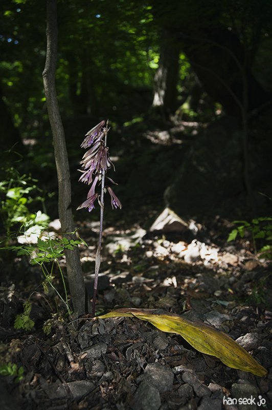 HSJ_5041.jpg