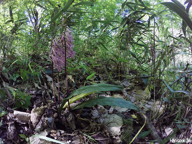 GOPR0184.jpg