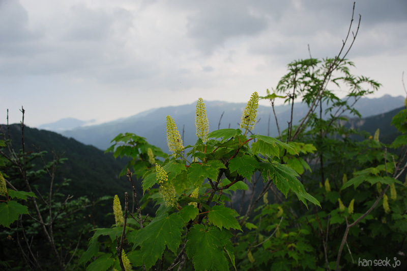 HSJ_0391.jpg