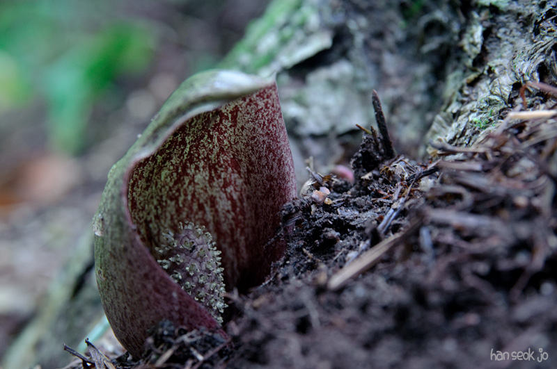 DSC_3602.jpg