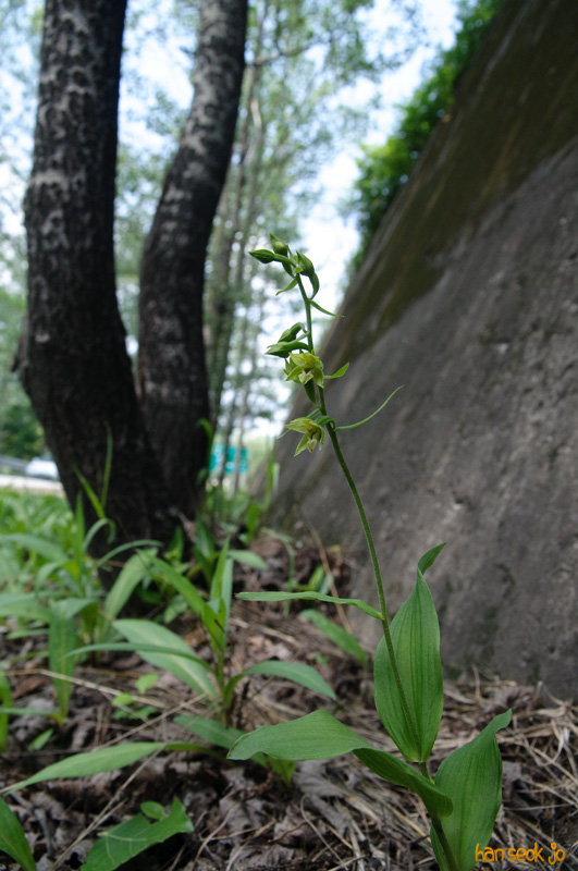 DSC_7226.jpg