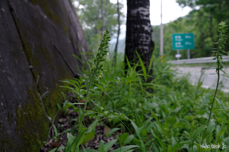 DSC_2688.jpg