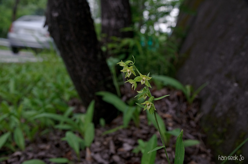 DSC_2693.jpg