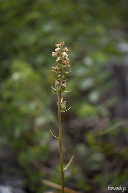 HSJ_6040.jpg