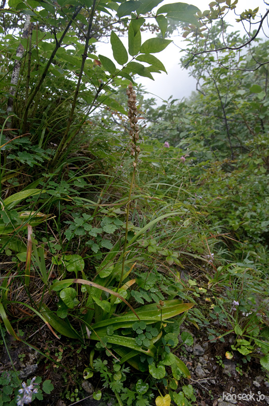 DSC_3395.jpg
