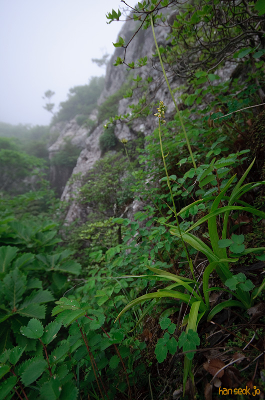 DSC_7186.jpg