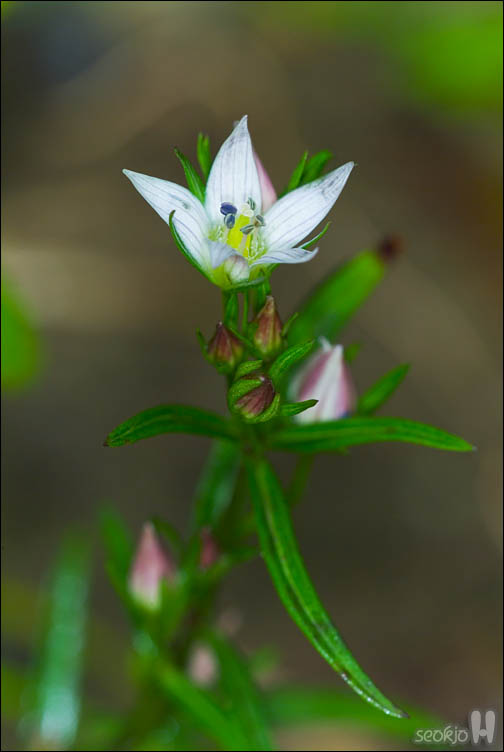 DSCF0854.jpg