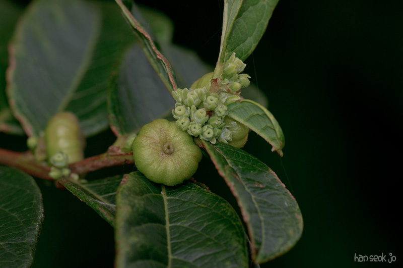 DSC_3164.jpg
