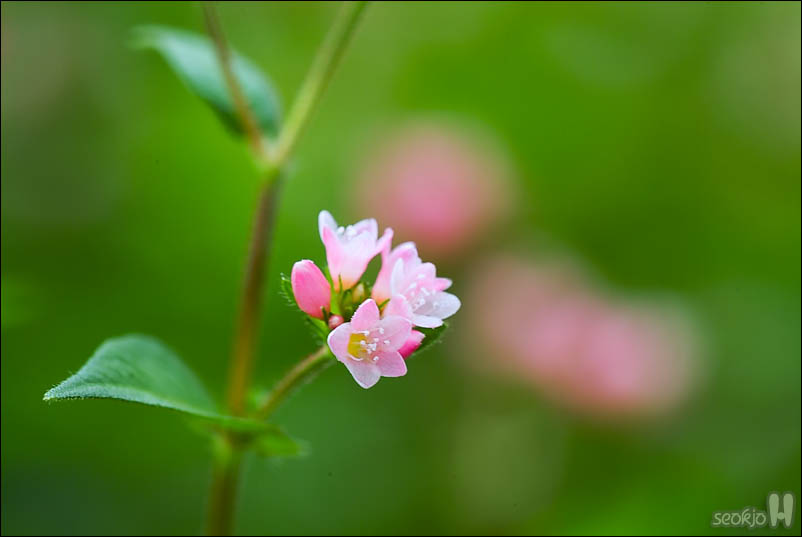 DSCF5586.jpg