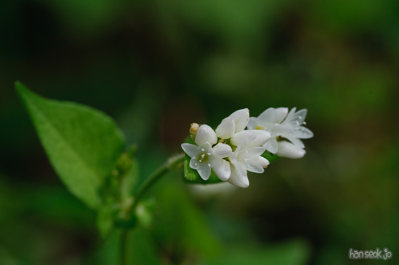 DSC_8440.jpg