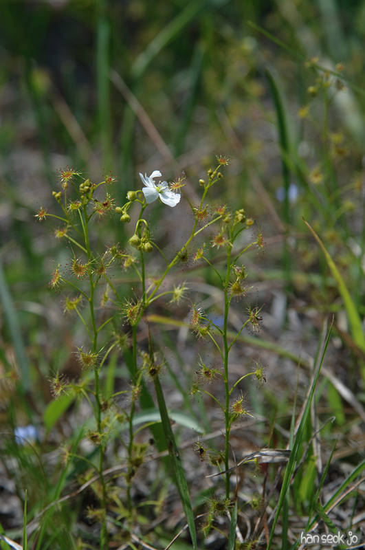 DSC_6128.jpg