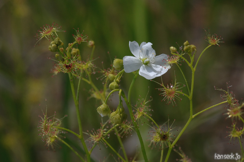 DSC_6170.jpg