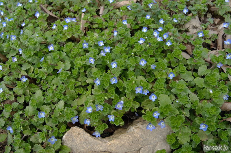 DSC_5058.jpg