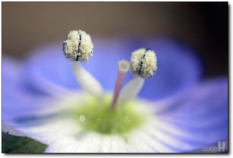 DSCN1022.jpg