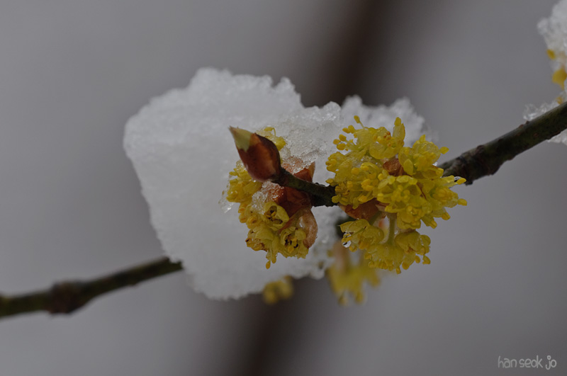 DSC_0506.jpg