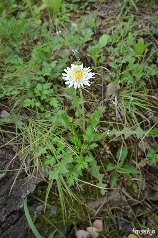 HAN_0335.jpg