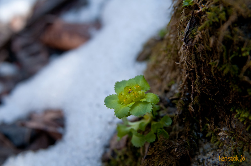 DSC_0607.jpg