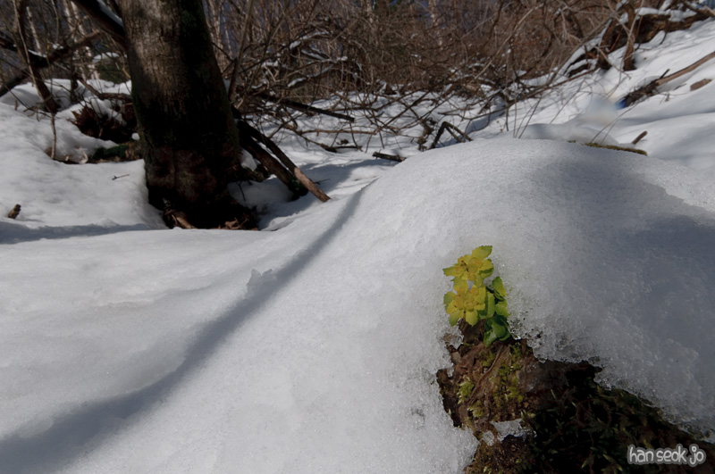 DSC_5603.jpg