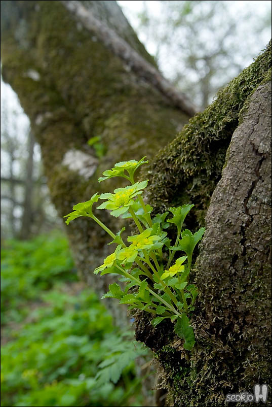 DSCF3548.jpg