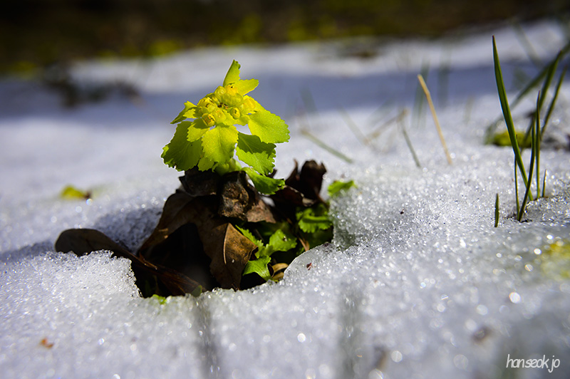 DSC_2030.jpg