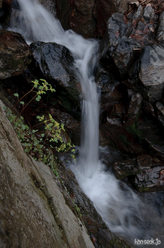 DSC_5487.jpg