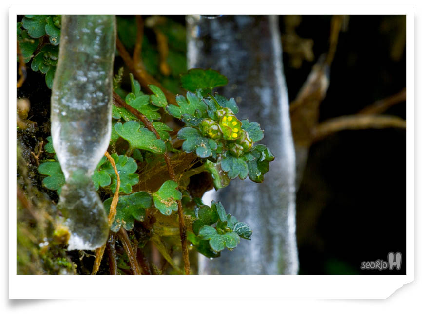 DSCF2417.jpg