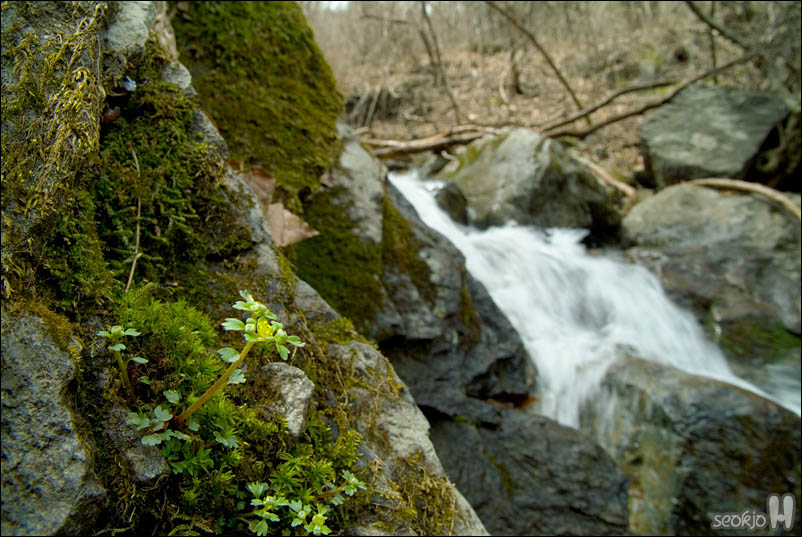 DSCF3004.jpg