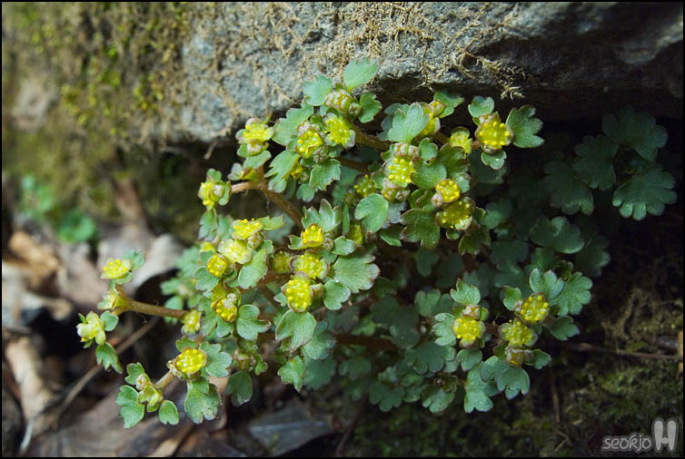 DSCF5431.jpg