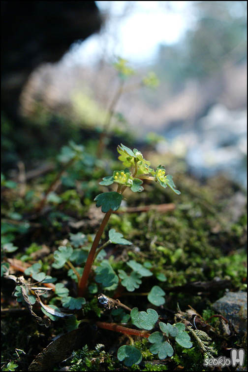 DSCF5745.jpg