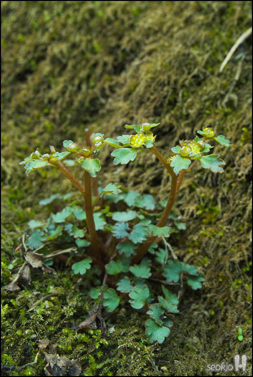 DSCF5430.jpg