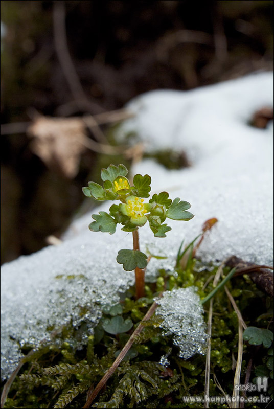 DSCF5979.jpg