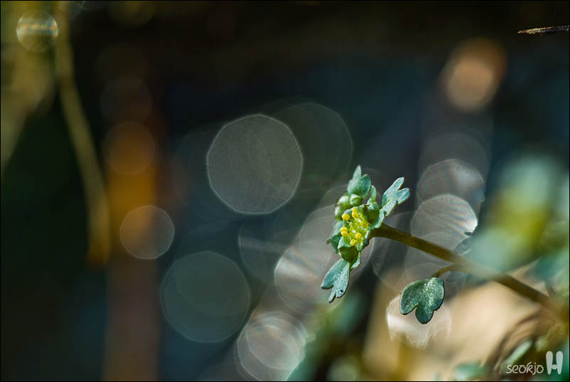 DSCF7229.jpg