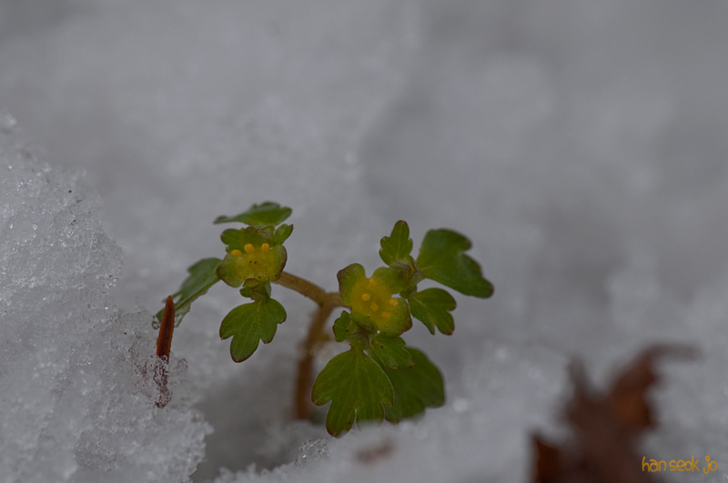 DSC_0473.jpg