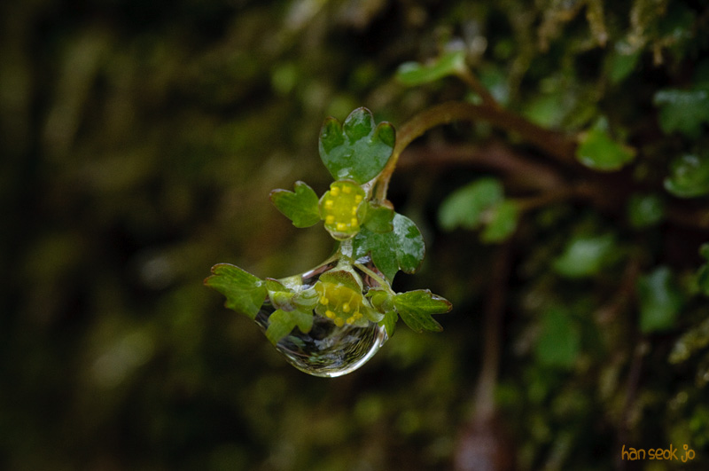 DSC_0481.jpg