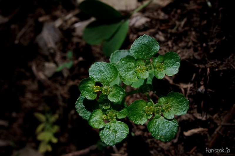DSC_1785.jpg
