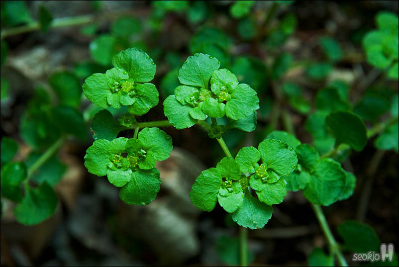 DSCF3759.jpg