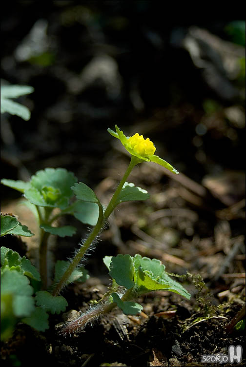 DSCF7049.jpg