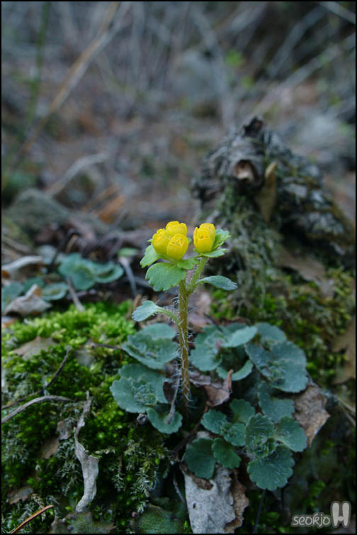 DSCF5921.jpg
