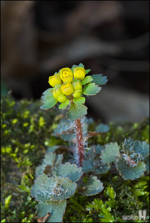 DSCF5920.jpg
