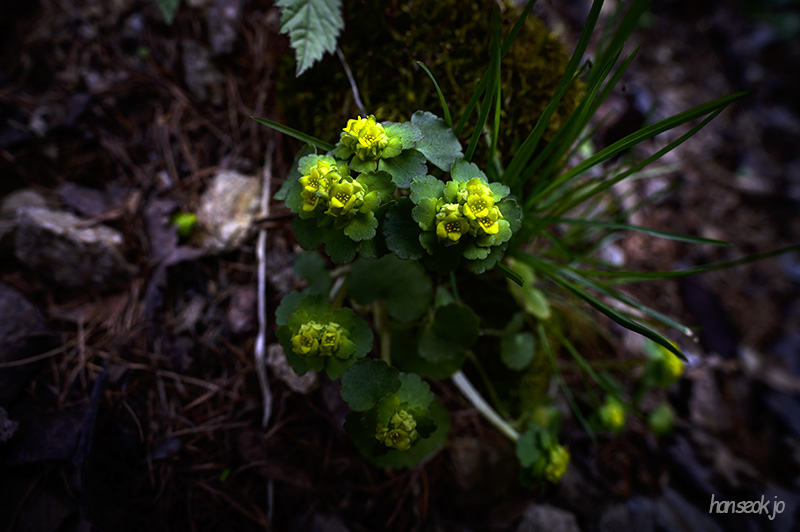 DSC_1758.jpg