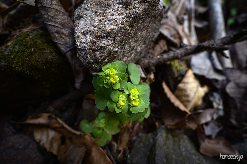DSC_1759.jpg